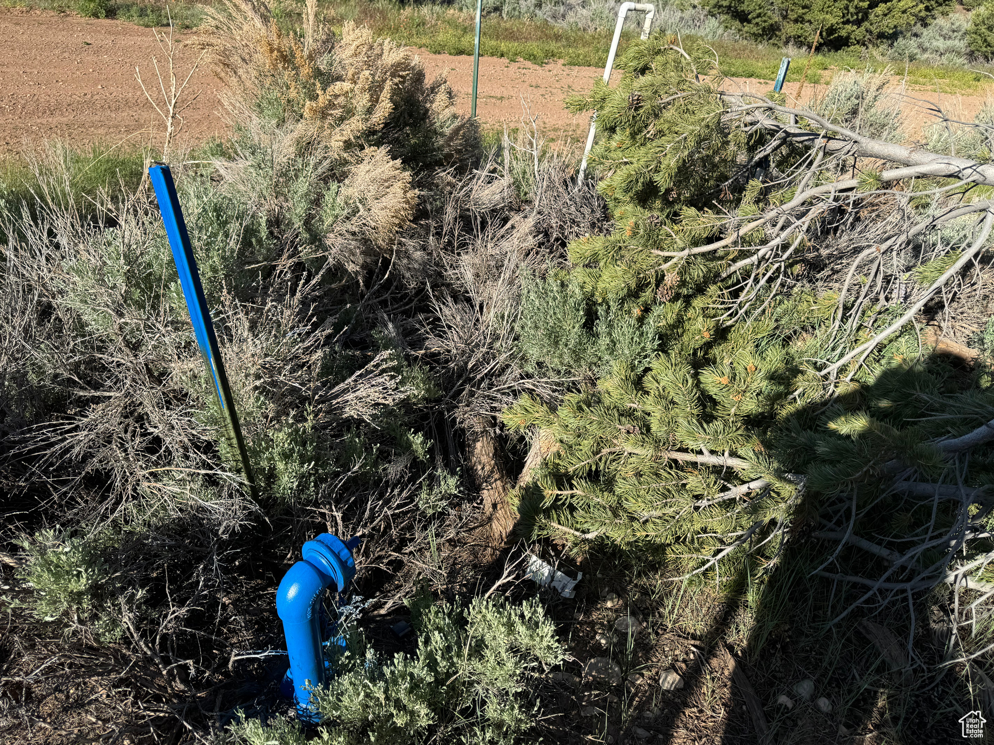 ELKHORN PHASE BANDANNA RANCH - Residential