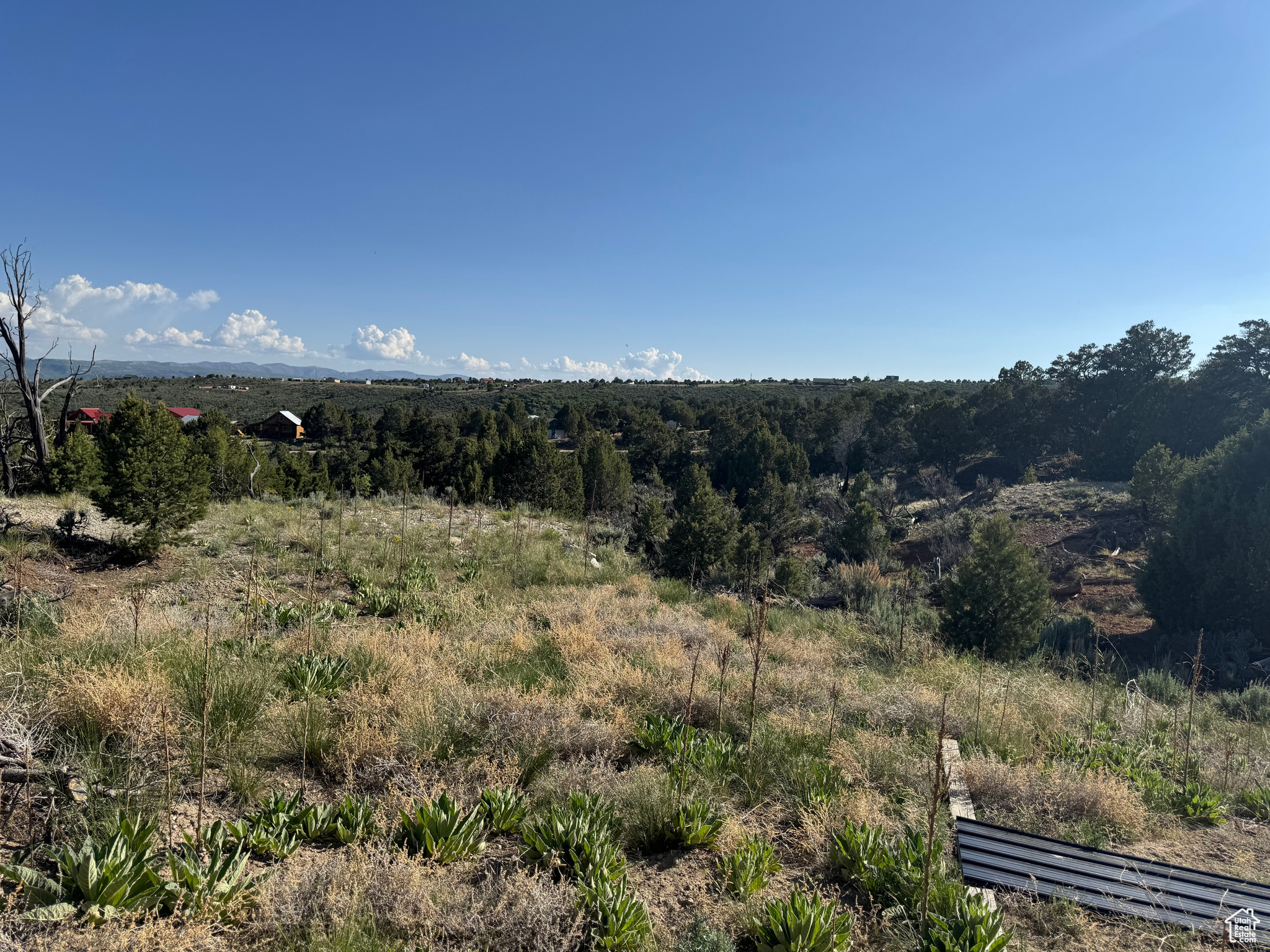 ELKHORN PHASE BANDANNA RANCH - Residential