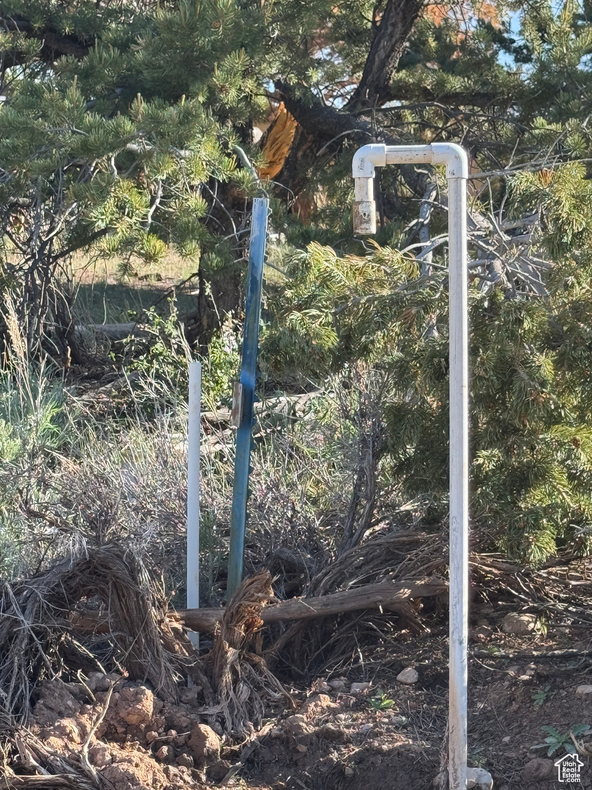 ELKHORN PHASE BANDANNA RANCH - Residential