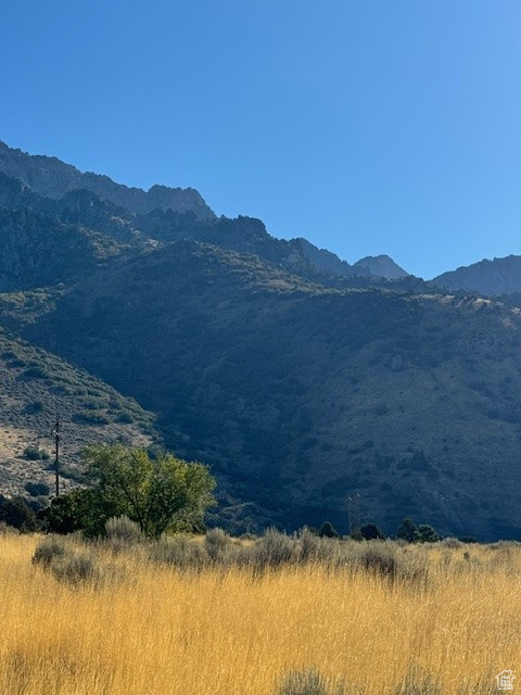 405 S 200 #4, Willard, Utah image 10
