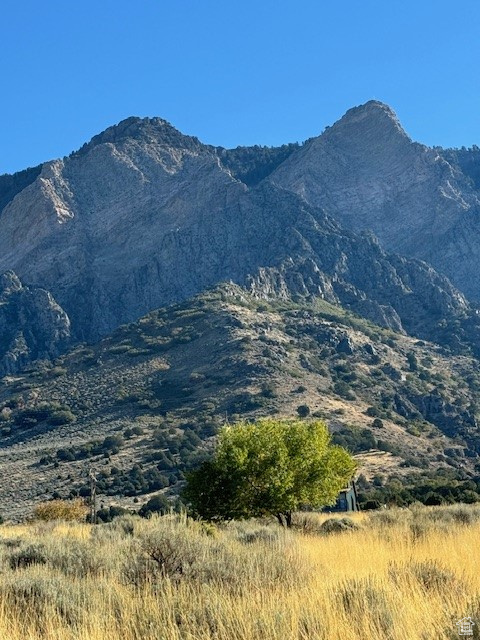 405 S 200 #4, Willard, Utah image 9