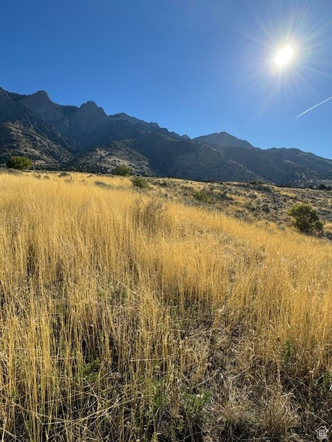 405 S 200 #4, Willard, Utah image 4