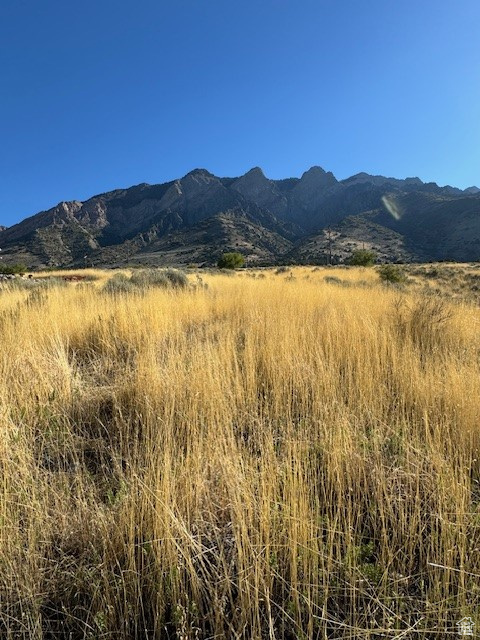 405 S 200 #4, Willard, Utah image 5