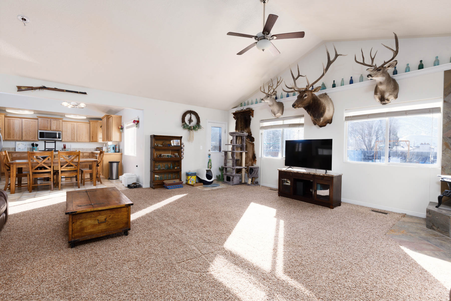 YOUNG PROPERTY - Residential