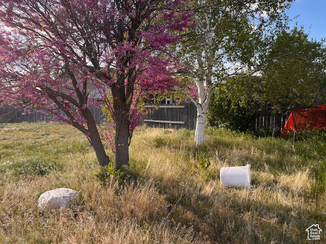 720 Main St St, Willard, Utah image 9