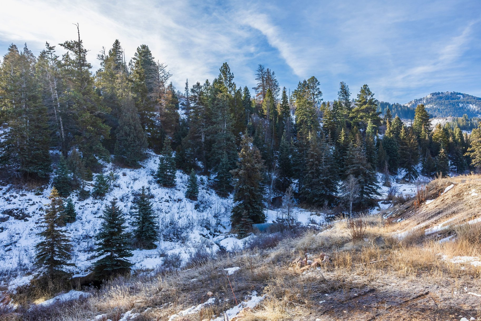 PP # SOUTH OF I-80 - Residential
