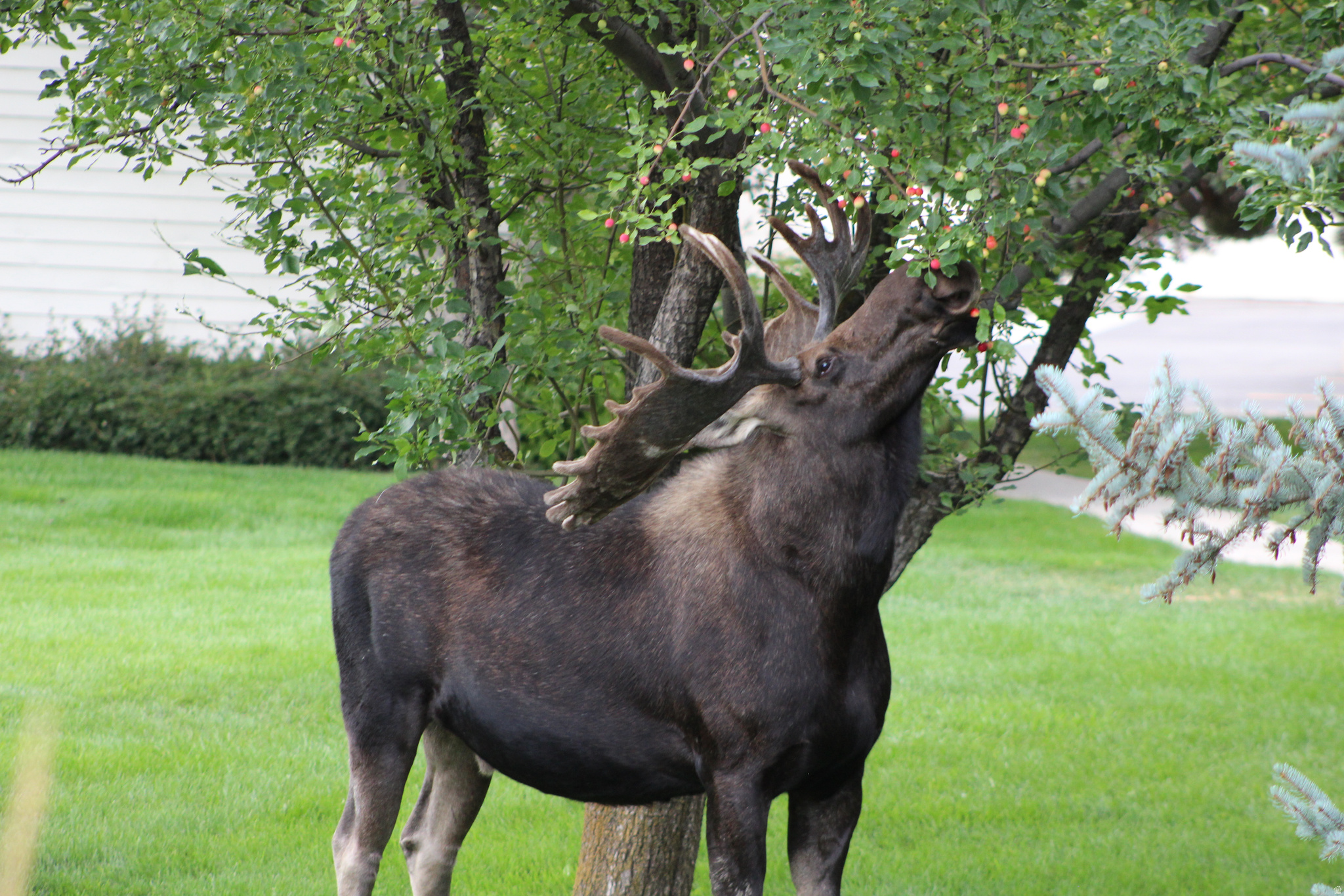 RACQUET CLUB VILLAGE SUB - Residential