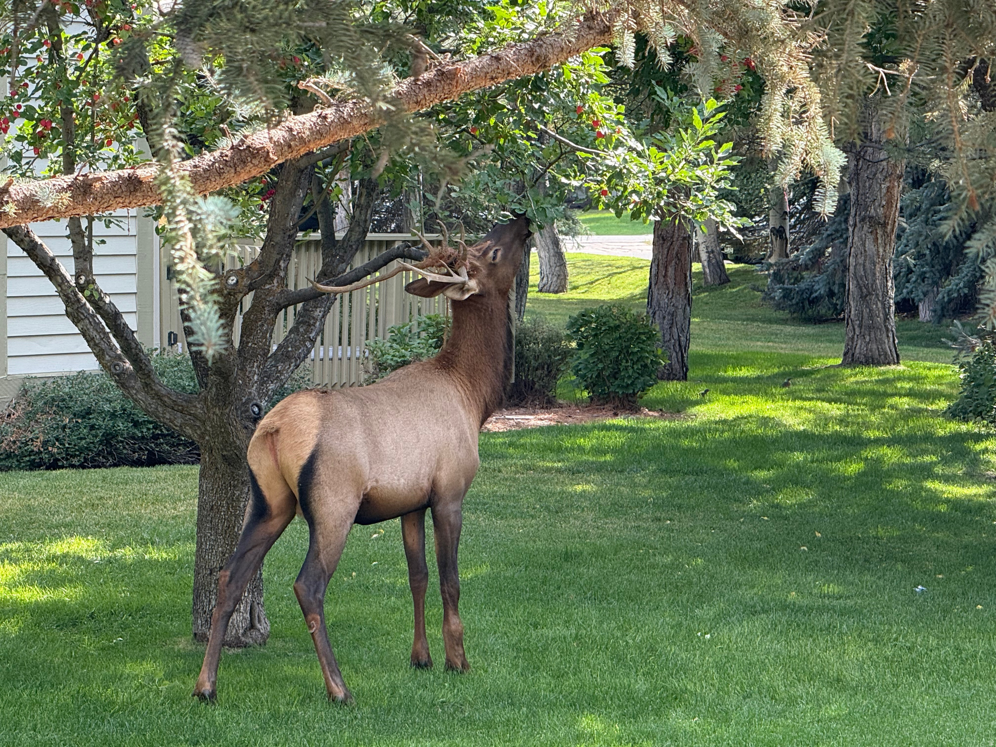 RACQUET CLUB VILLAGE SUB - Residential