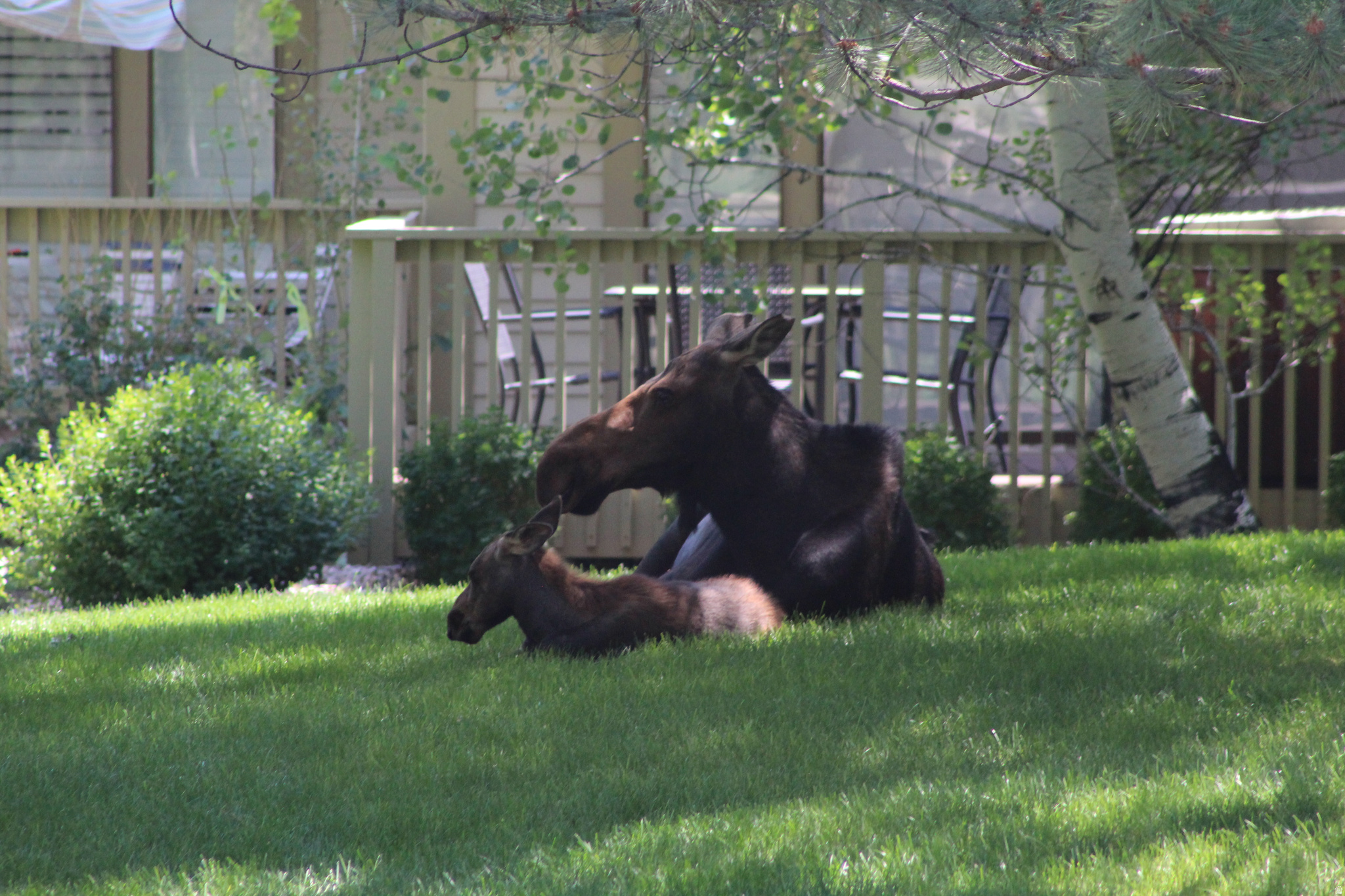 RACQUET CLUB VILLAGE SUB - Residential