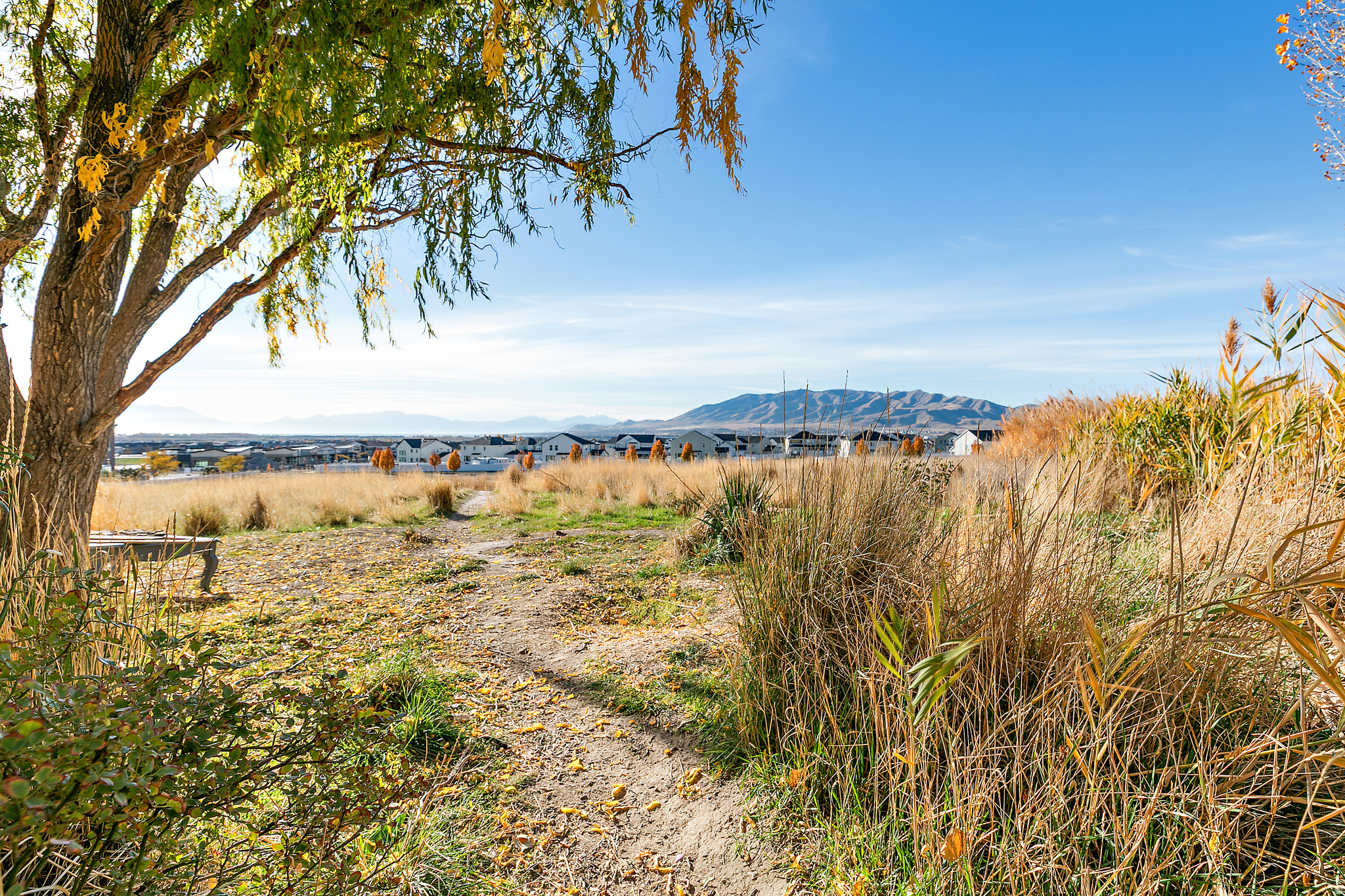 HILLCREST - Residential