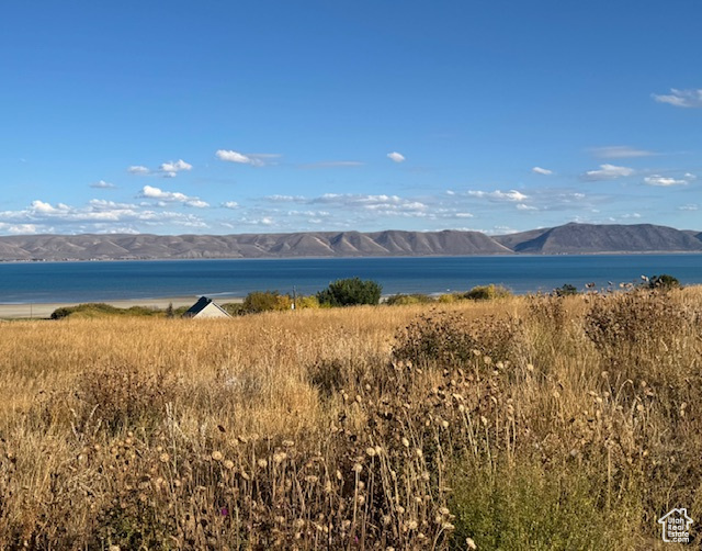 RESERVE PH 8 LOT 189 - Land