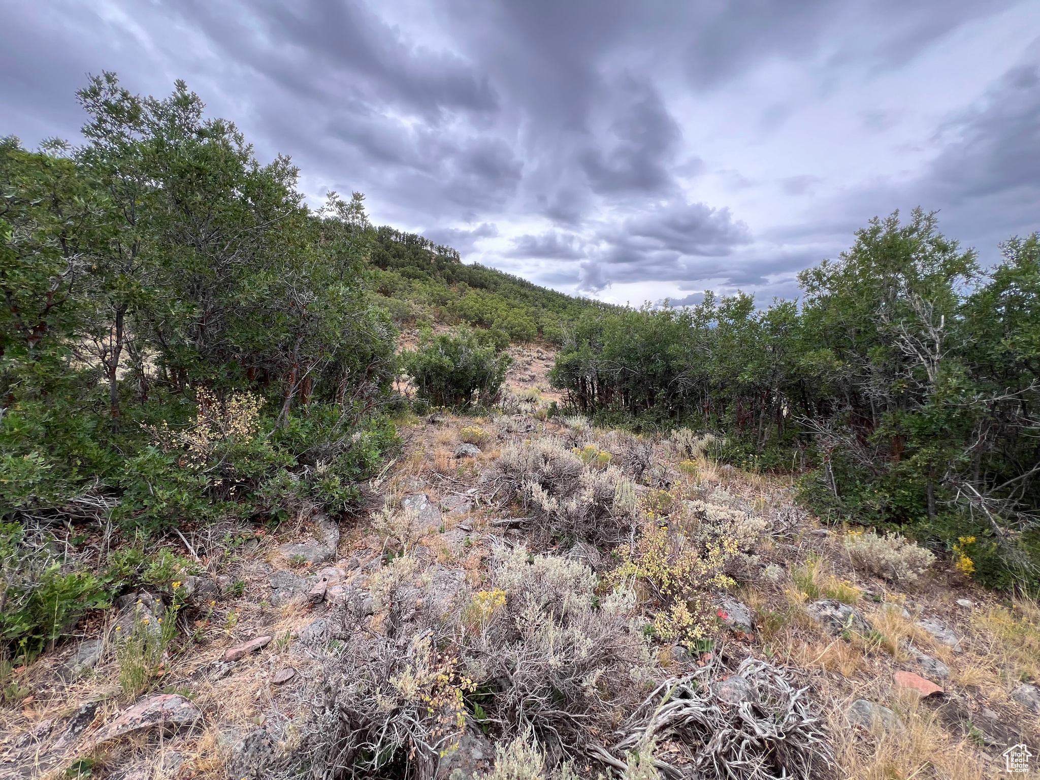 NORTHGATE CANYON / PROMONTORY - Land