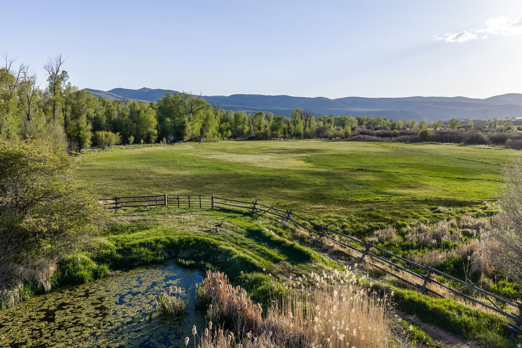 OAKLEY TOWN - Residential