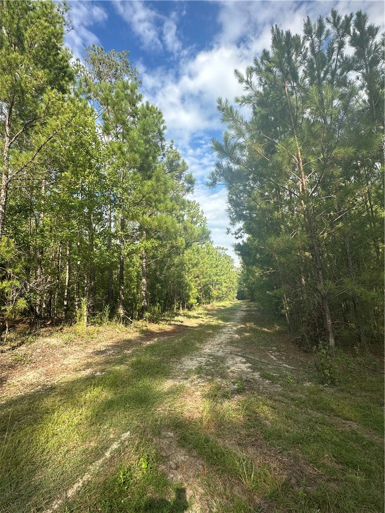 0 COUNTY ROAD 91
