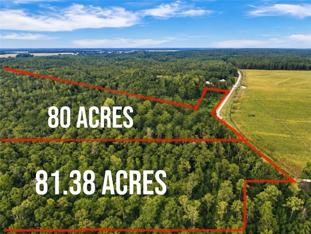 Photo of 0 COUNTY ROAD 91, Tuskegee, AL 36083 (MLS # 182165)