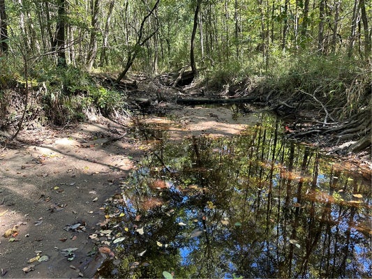 COUNTY RD 91, TUSKEGEE, AL 36083 - Image 004e88e24cf7e89d4bac8aea325bcfbb/3279183227