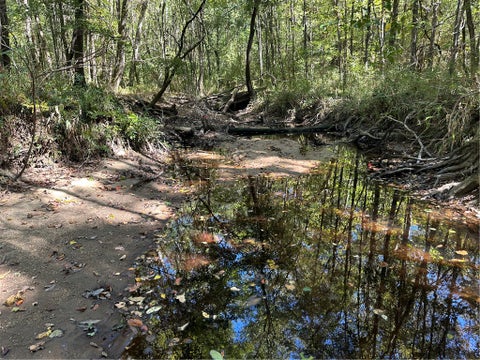 Photo of 0 COUNTY ROAD 91, Tuskegee, AL 36083 (MLS # 182165)