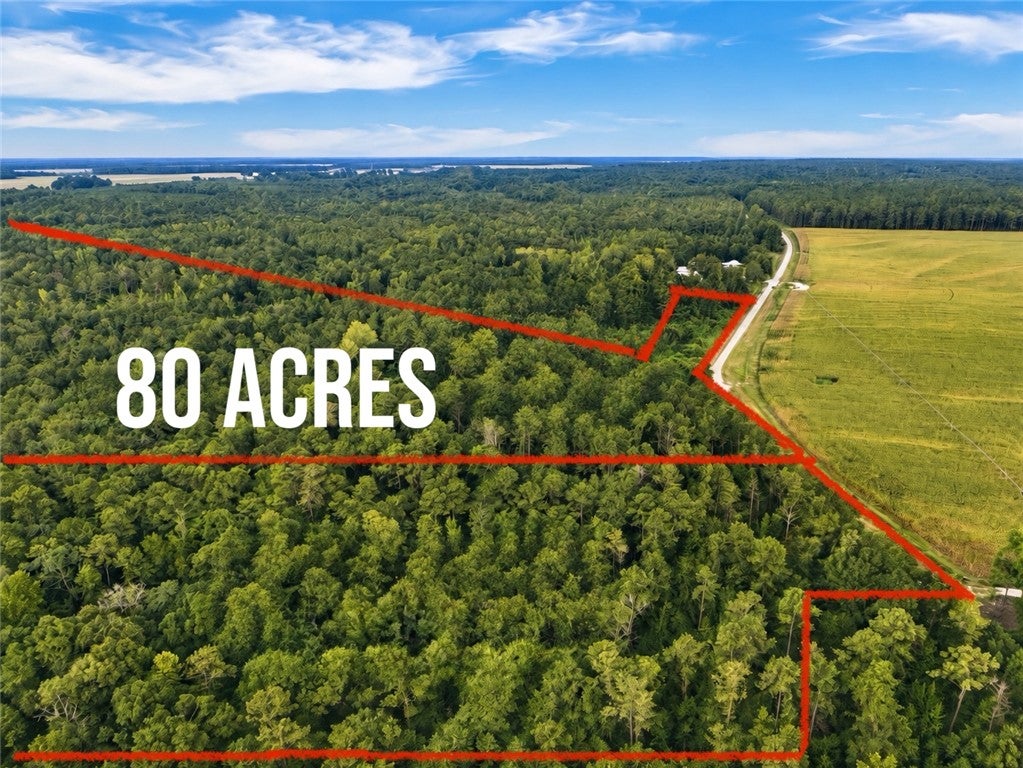 Photo of 0 COUNTY ROAD 91, Tuskegee, AL 36083 (MLS # 182165)