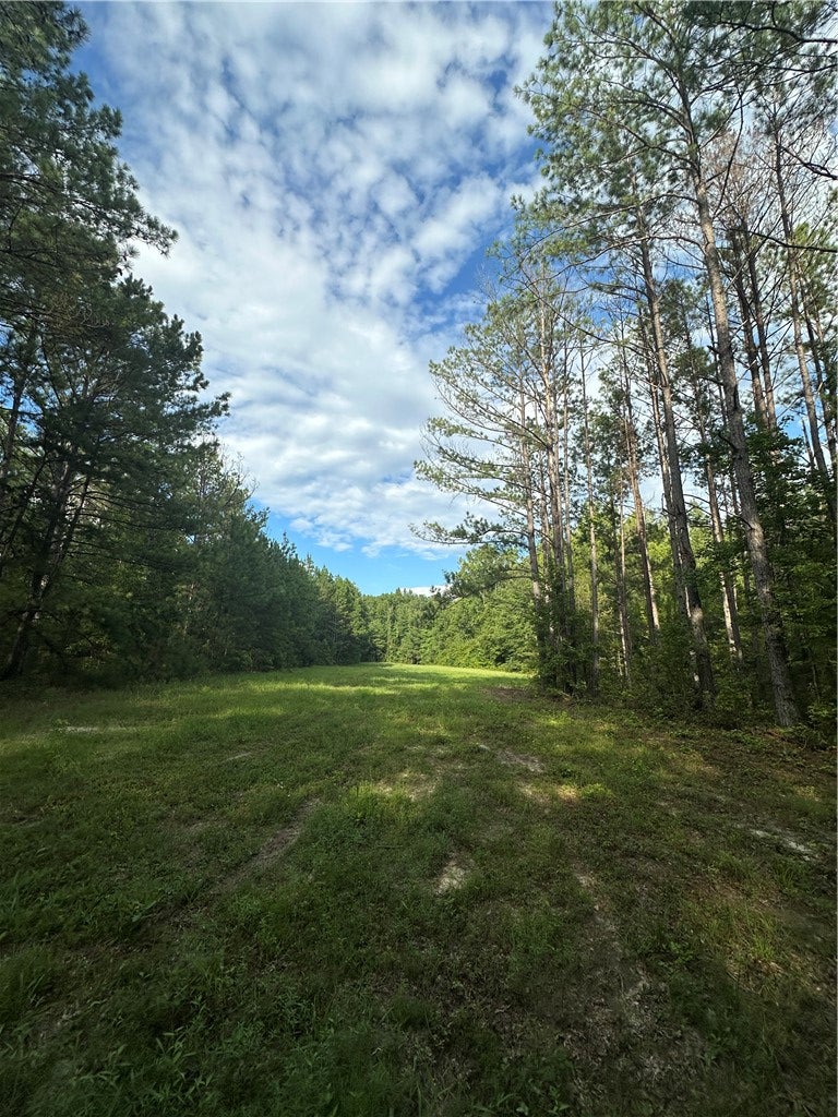 0 COUNTY ROAD 91
