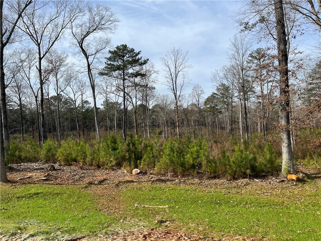 2090 MOURNING DOVE Lane