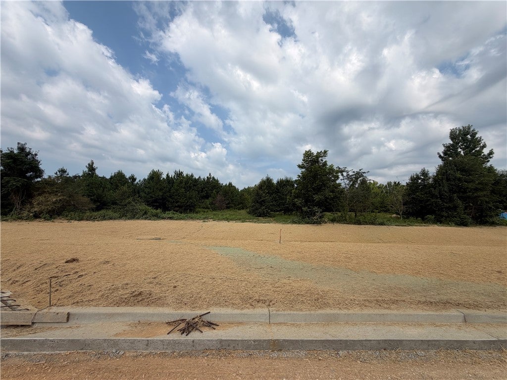 Photo of 21 HOMESTEAD Lane, Smiths Station, AL 36877 (MLS # 182442)