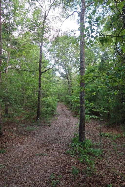 1401 Glassy Mill Road