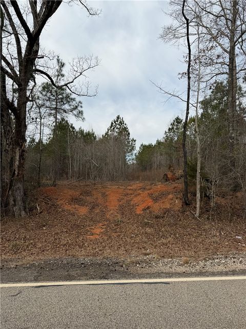 Photo of 4 OLD COLUMBUS Road, Opelika, AL 36804 (MLS # 178746)