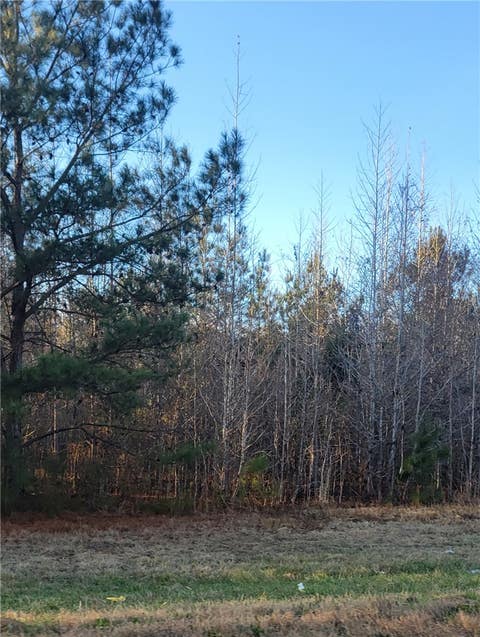 Photo of 00 COUNTY ROAD 5, Union Springs, AL 36089 (MLS # 181577)