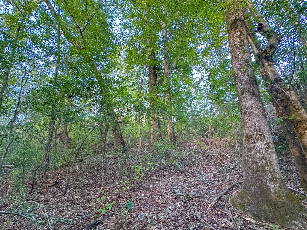 0 COUNTY ROAD 28
