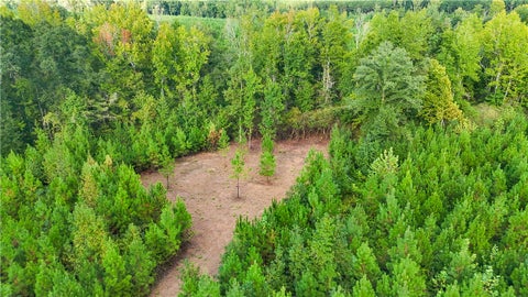 Photo of 0 COUNTY ROAD 28, Lafayette, AL 36862 (MLS # 182634)
