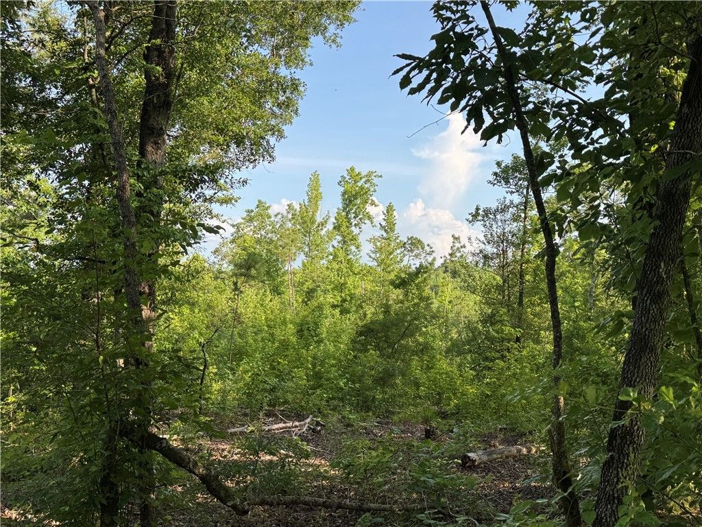 Photo of 0 TRIMBLE Road, Camp Hill, AL 36850 (MLS # 175490)