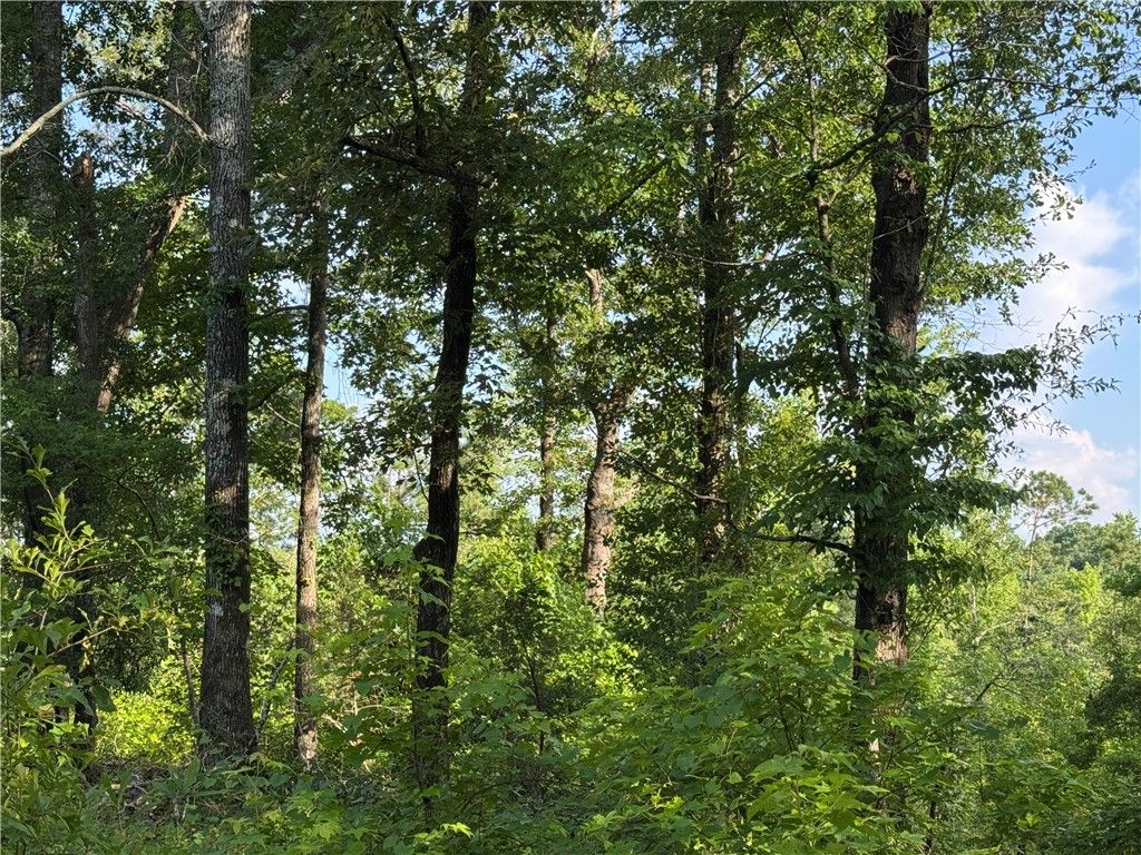 Photo of 0 TRIMBLE Road, Camp Hill, AL 36850 (MLS # 175490)