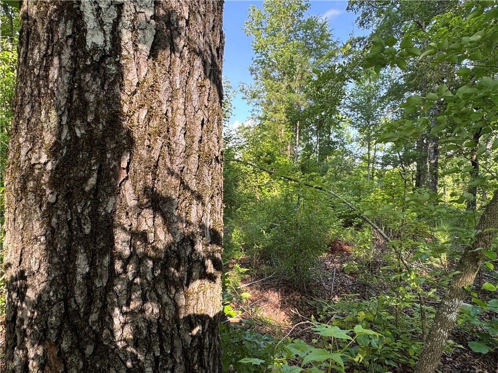 Photo of 0 TRIMBLE Road, Camp Hill, AL 36850 (MLS # 175490)