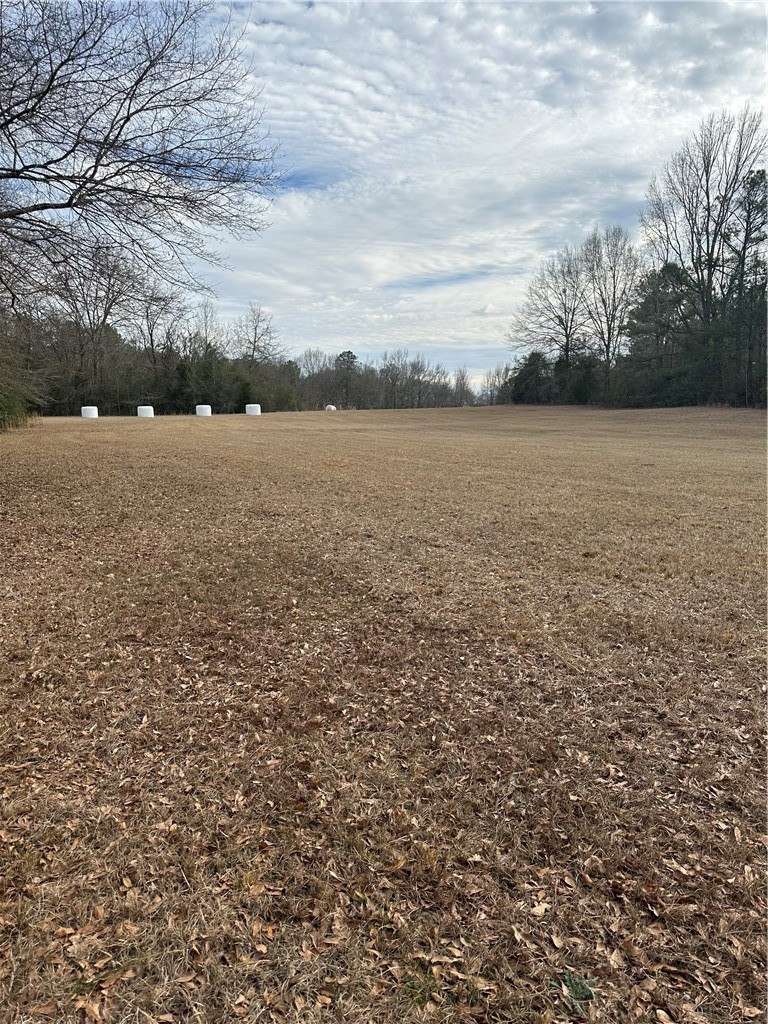 Tuskegee, Alabama, 36083, United States, 3 Bedrooms Bedrooms, ,3 BathroomsBathrooms,Residential,Active,2014592