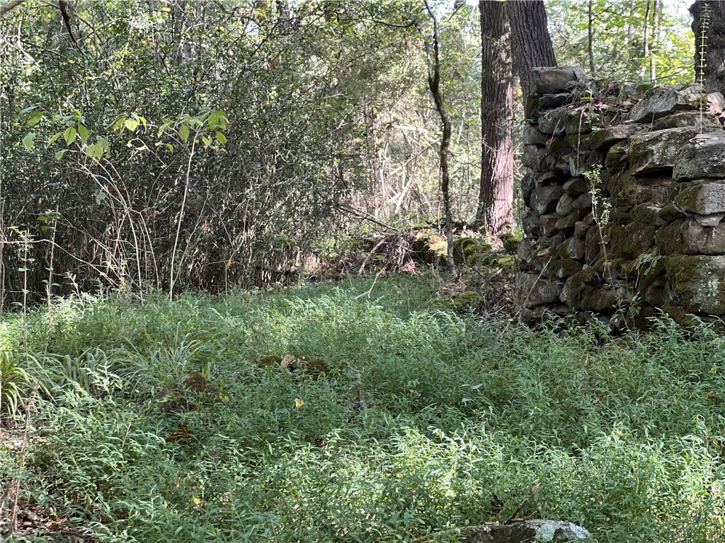 Opelika, Alabama 36801, United States, ,Land,Active,190408