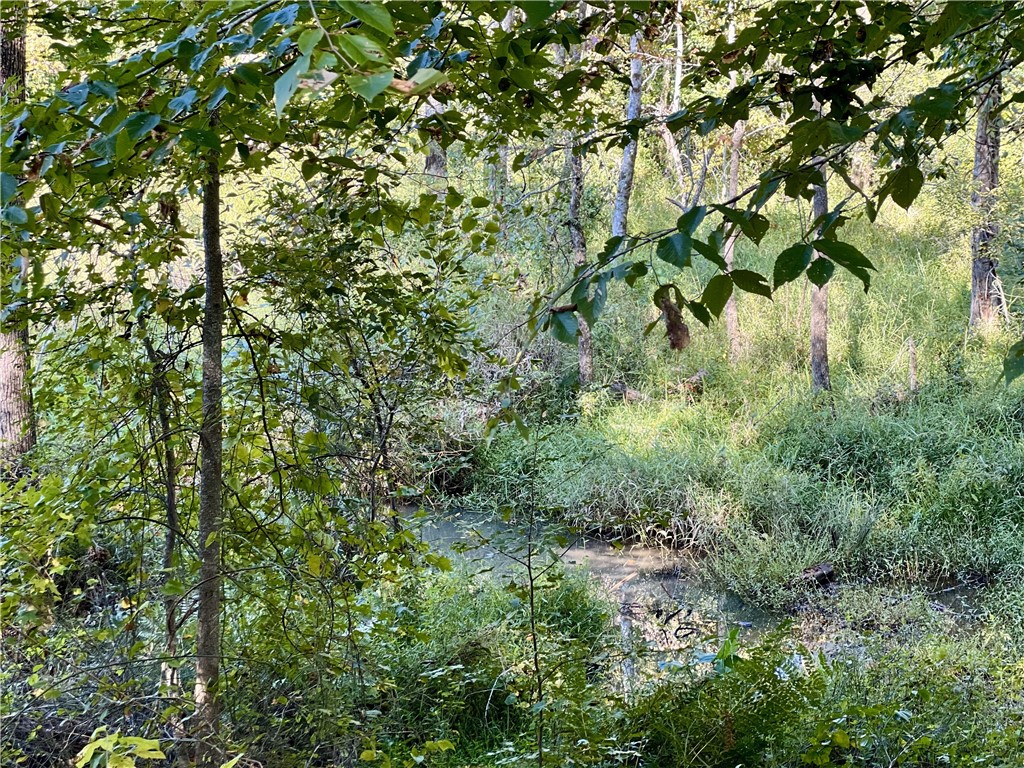 Opelika, Alabama 36801, United States, ,Land,Active,190408