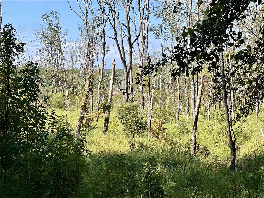 Opelika, Alabama 36801, United States, ,Land,Active,190408