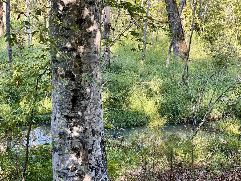 Opelika, Alabama 36801, United States, ,Land,Active,190408