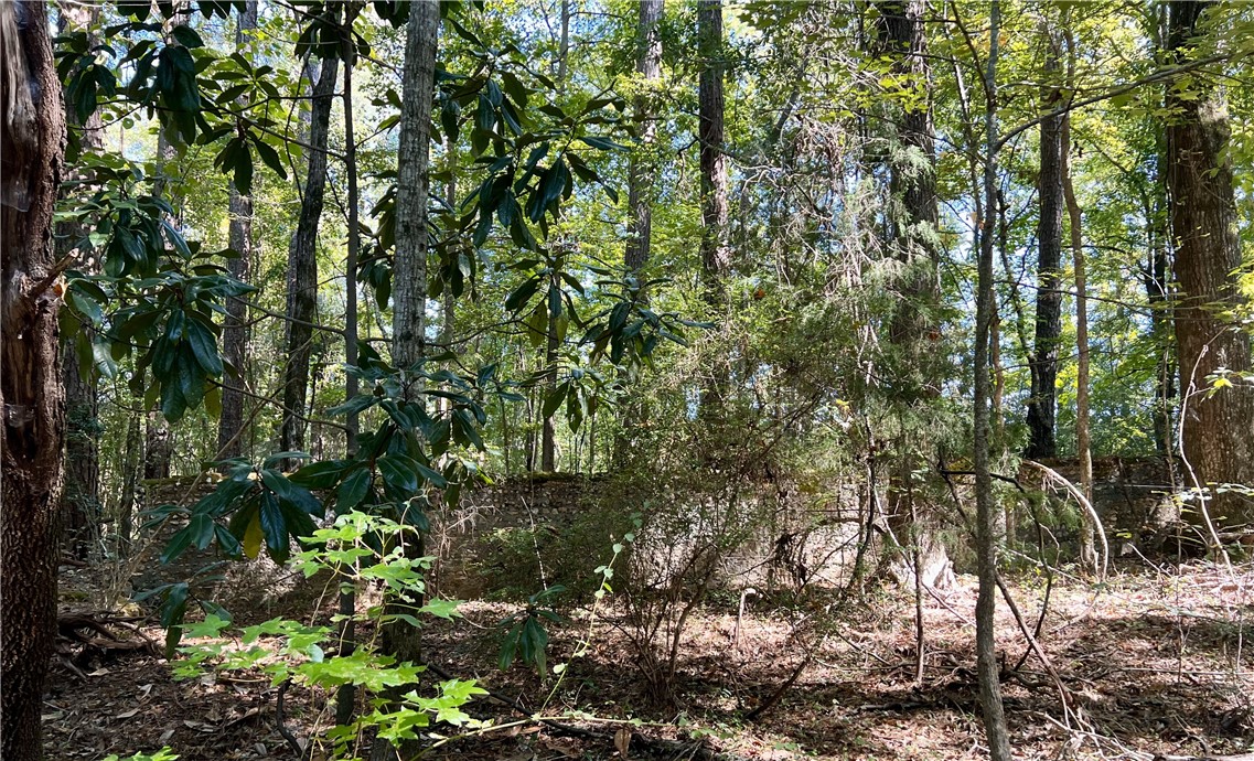 Opelika, Alabama 36801, United States, ,Land,Active,190408