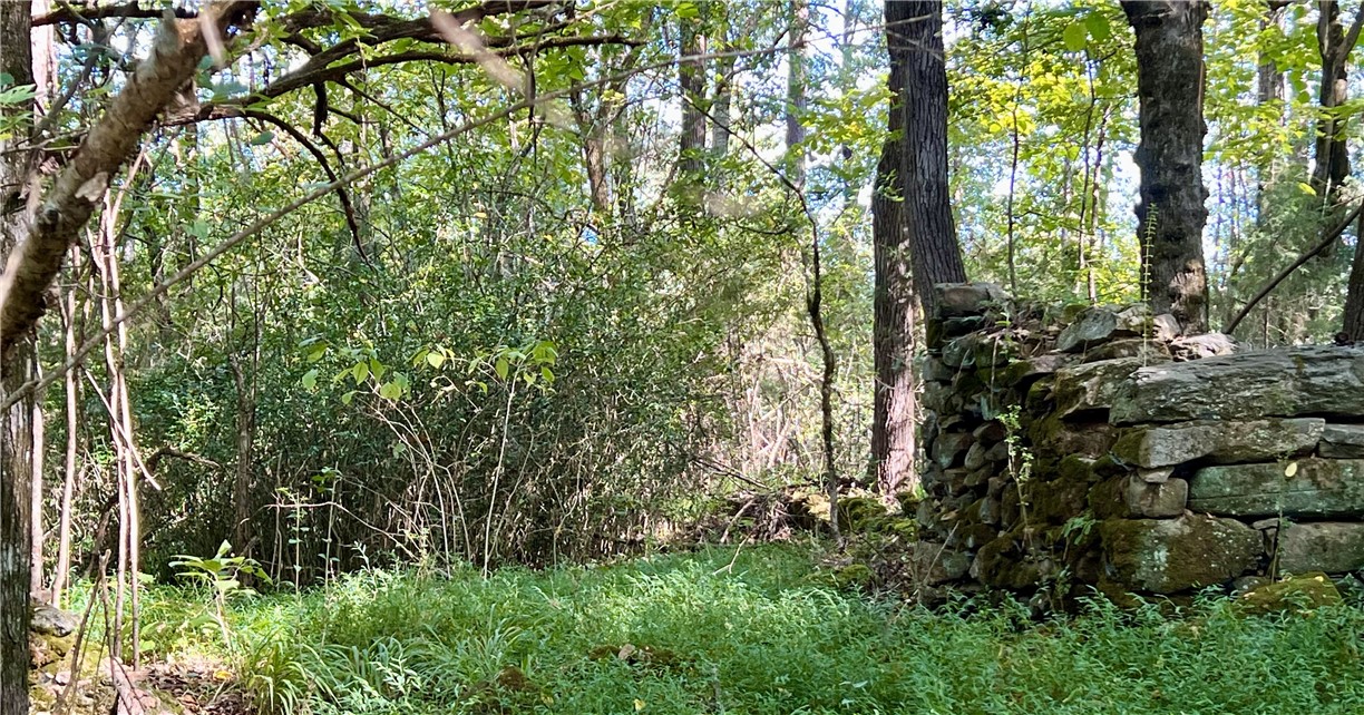 Opelika, Alabama 36801, United States, ,Land,Active,190408