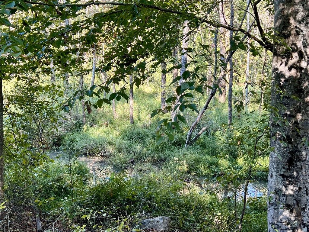 Opelika, Alabama 36801, United States, ,Land,Active,190408