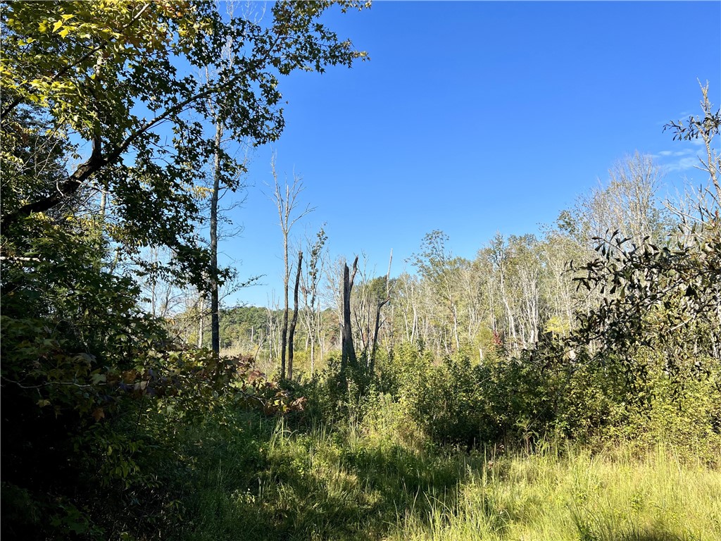 Opelika, Alabama 36801, United States, ,Land,Active,190408