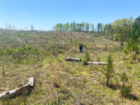 3217 LEE ROAD 334 Salem AL 36874