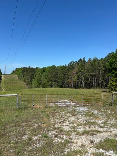 Photo of 2 SOCIETY HILL Road, Auburn, AL 36830 (MLS # 180771)