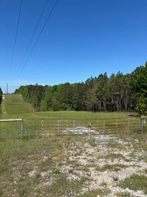 Photo of 2 SOCIETY HILL Road, Auburn, AL 36830 (MLS # 180771)