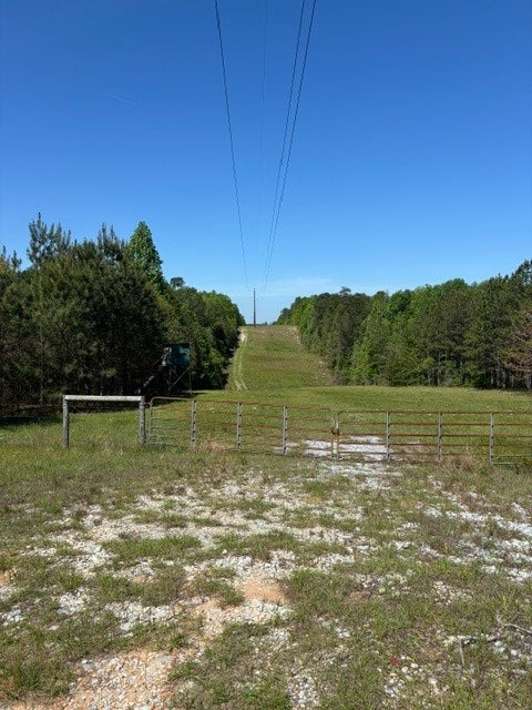Photo of 2 SOCIETY HILL Road, Auburn, AL 36830 (MLS # 180771)