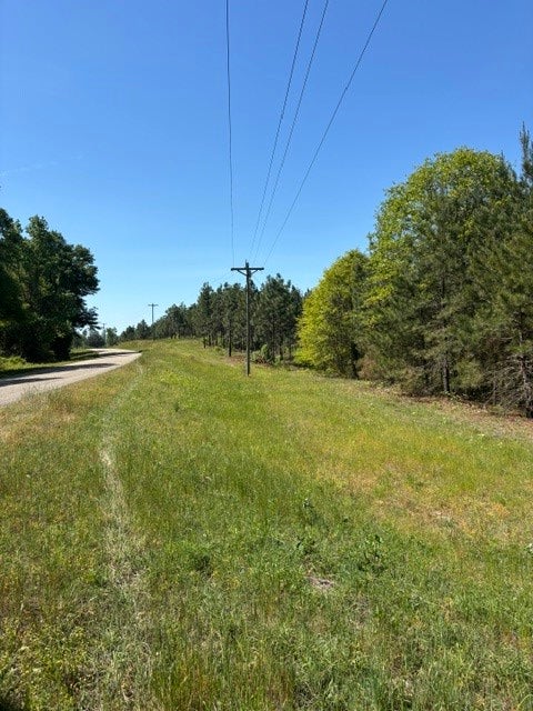 Photo of 2 SOCIETY HILL Road, Auburn, AL 36830 (MLS # 180771)