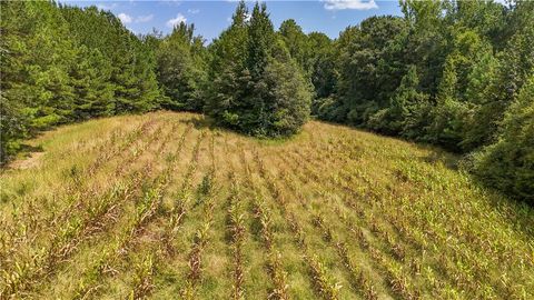 Photo of 0 AL HIGHWAY 77, Roanoke, AL 36274 (MLS # 176430)