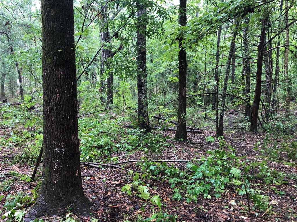 Lot 8 LEE ROAD 39