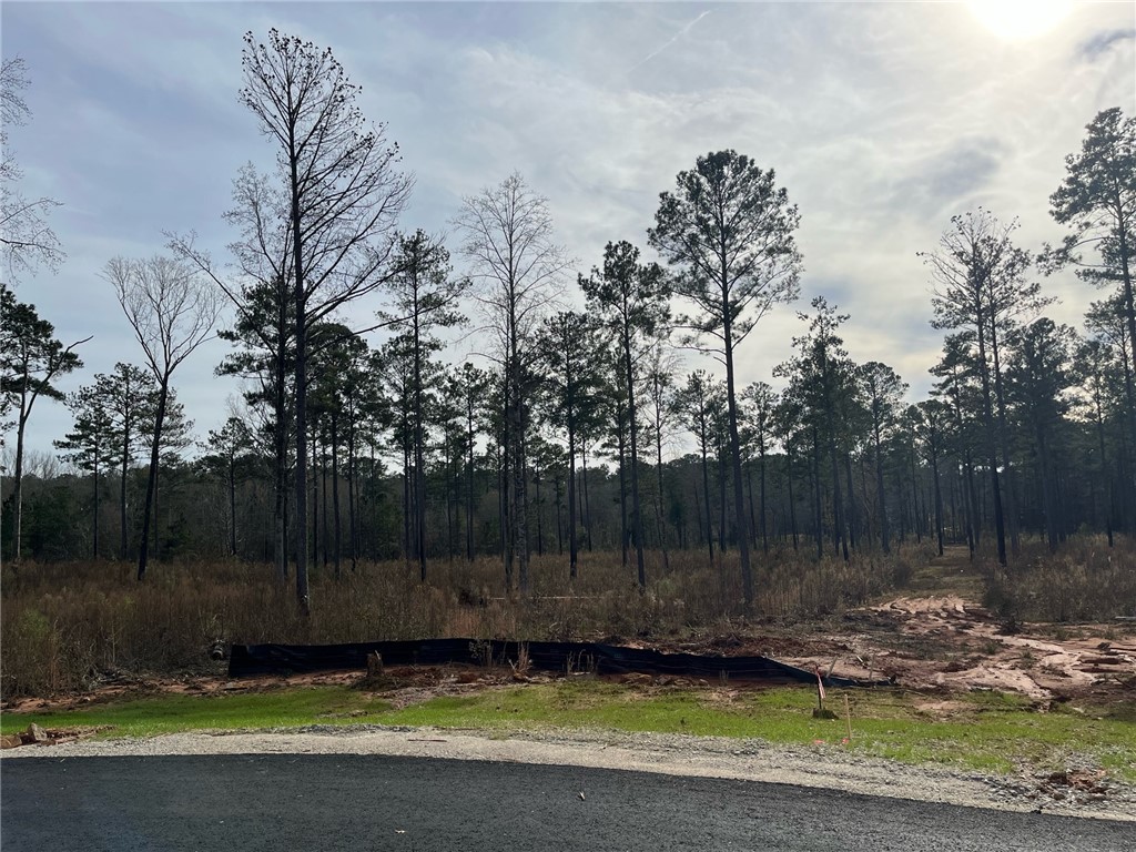 2105 MOURNING DOVE Lane